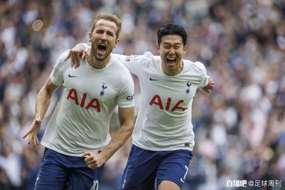 不会去伤害 不会去伤害